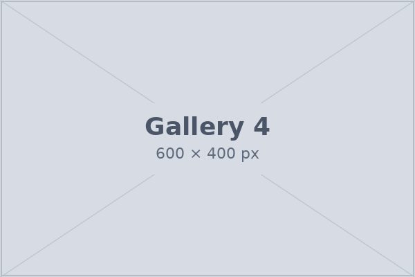 Gallery photo 4