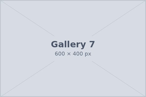 Gallery photo 7