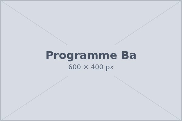B.A. programme