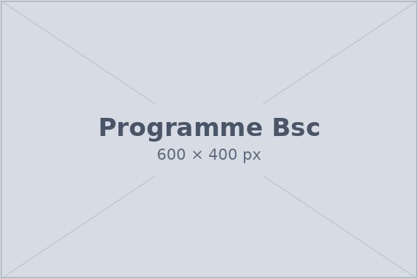 B.Sc. programme
